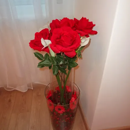 Gasthuis Boutique Carducci Triëst