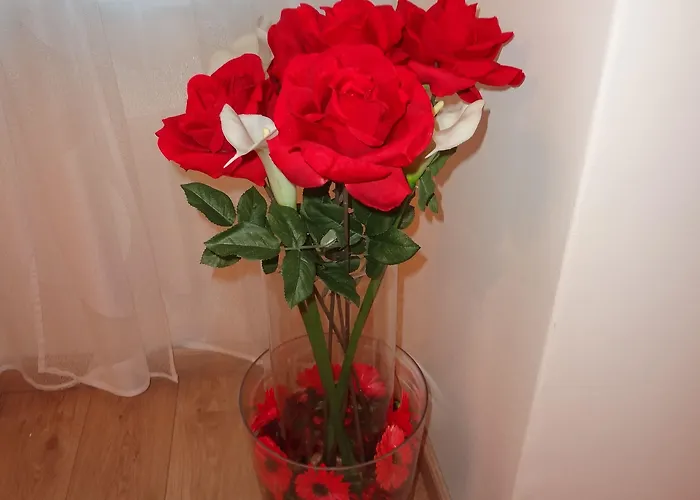 Guest house Boutique Carducci Trieste